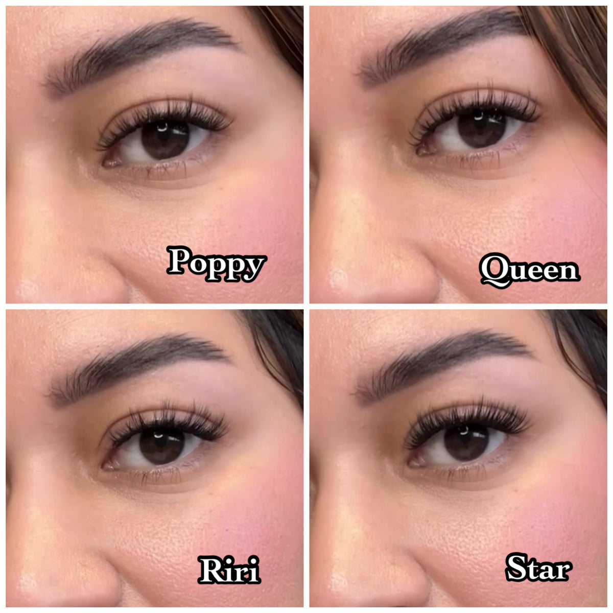 Pre-glued lash bundle - Poppy, Queen, Riri, Star