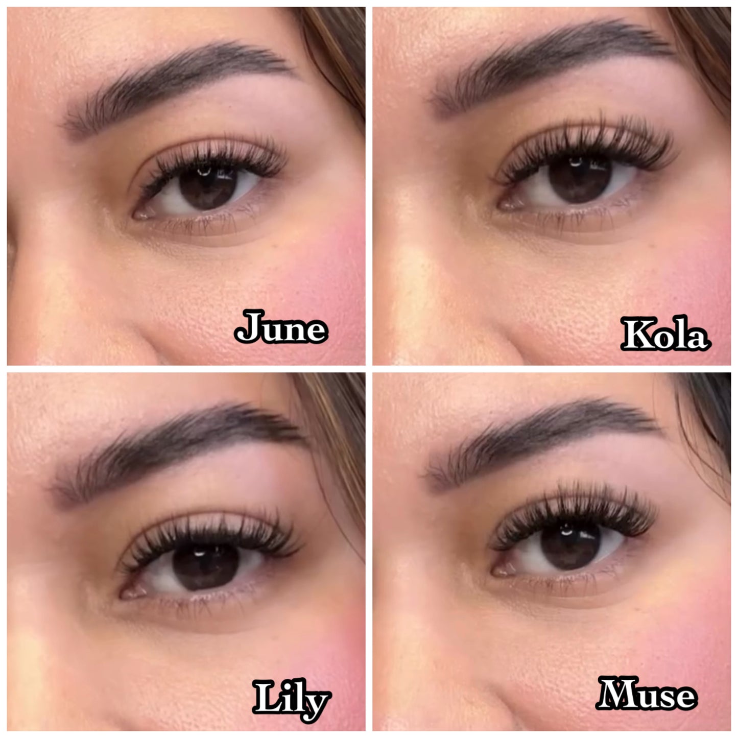 Pre-glued lash bundle